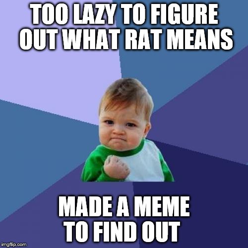 Success Kid Meme | TOO LAZY TO FIGURE OUT WHAT RAT MEANS; MADE A MEME TO FIND OUT | image tagged in memes,success kid | made w/ Imgflip meme maker