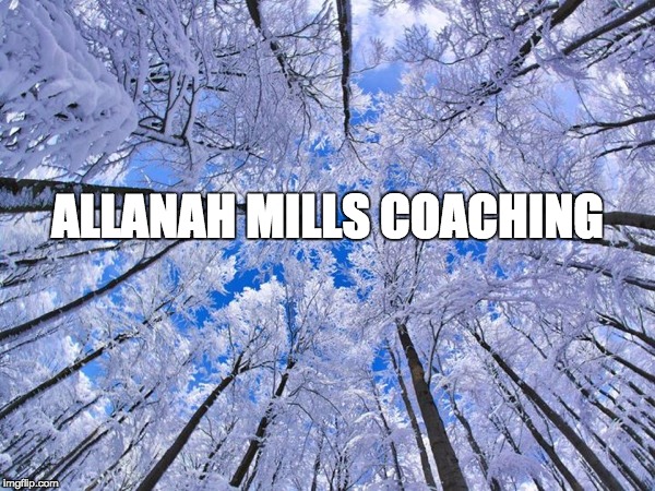 ALLANAH MILLS COACHING | made w/ Imgflip meme maker