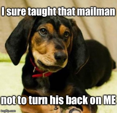 Some of these are the WORST | I sure taught that mailman; not to turn his back on ME | image tagged in bite,mailman | made w/ Imgflip meme maker