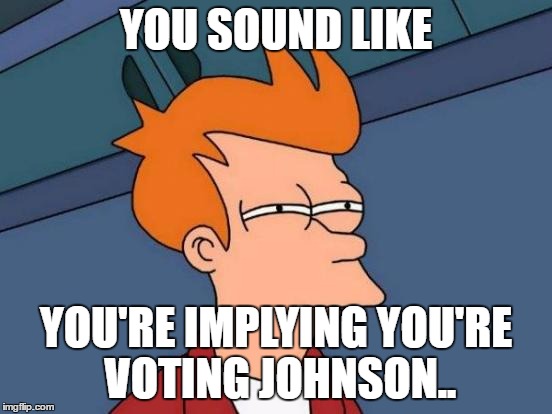 Futurama Fry Meme | YOU SOUND LIKE YOU'RE IMPLYING YOU'RE VOTING JOHNSON.. | image tagged in memes,futurama fry | made w/ Imgflip meme maker