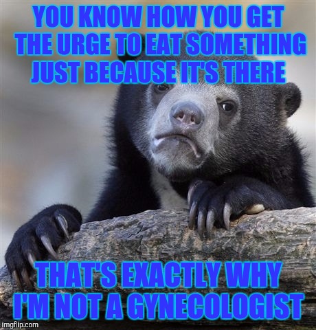 Confession Bear | YOU KNOW HOW YOU GET THE URGE TO EAT SOMETHING JUST BECAUSE IT'S THERE; THAT'S EXACTLY WHY I'M NOT A GYNECOLOGIST | image tagged in memes,confession bear | made w/ Imgflip meme maker