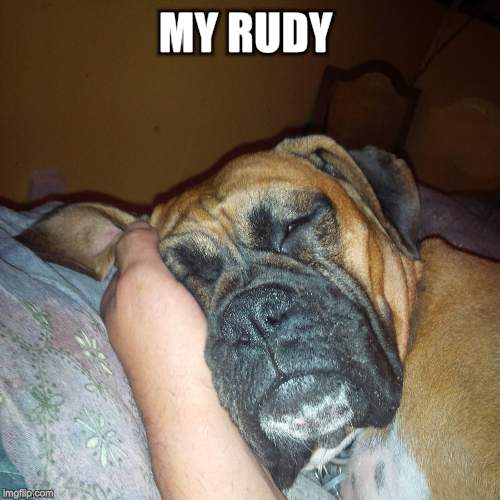 MY RUDY | made w/ Imgflip meme maker