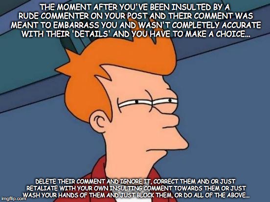 Futurama Fry Meme | THE MOMENT AFTER YOU'VE BEEN INSULTED BY A RUDE COMMENTER ON YOUR POST AND THEIR COMMENT WAS MEANT TO EMBARRASS YOU AND WASN'T COMPLETELY ACCURATE WITH THEIR 'DETAILS' AND YOU HAVE TO MAKE A CHOICE... DELETE THEIR COMMENT AND IGNORE IT, CORRECT THEM AND OR JUST RETALIATE WITH YOUR OWN INSULTING COMMENT TOWARDS THEM OR JUST WASH YOUR HANDS OF THEM AND JUST BLOCK THEM, OR DO ALL OF THE ABOVE... | image tagged in memes,futurama fry,insults,fake friends,facebook problems,facebook comments | made w/ Imgflip meme maker