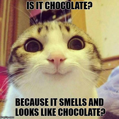 Smiling Cat Meme | IS IT CHOCOLATE? BECAUSE IT SMELLS AND LOOKS LIKE CHOCOLATE? | image tagged in memes,smiling cat | made w/ Imgflip meme maker