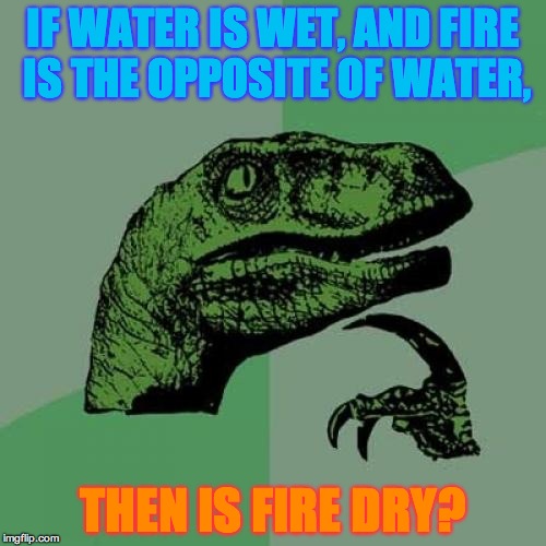 Philosoraptor Meme | IF WATER IS WET, AND FIRE IS THE OPPOSITE OF WATER, THEN IS FIRE DRY? | image tagged in memes,philosoraptor | made w/ Imgflip meme maker