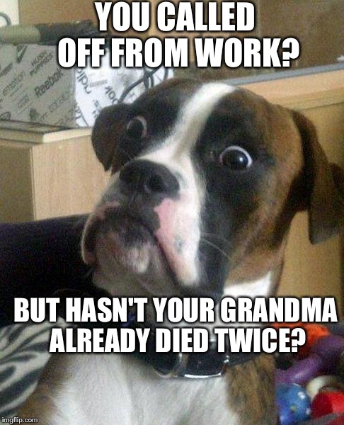 surprise | YOU CALLED OFF FROM WORK? BUT HASN'T YOUR GRANDMA ALREADY DIED TWICE? | image tagged in surprise | made w/ Imgflip meme maker