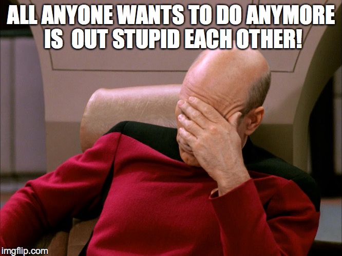 picard face palm | ALL ANYONE WANTS TO DO ANYMORE IS  OUT STUPID EACH OTHER! | image tagged in picard face palm | made w/ Imgflip meme maker