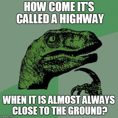 Philosoraptor | HOW COME IT'S CALLED A HIGHWAY; WHEN IT IS ALMOST ALWAYS CLOSE TO THE GROUND? | image tagged in memes,philosoraptor | made w/ Imgflip meme maker