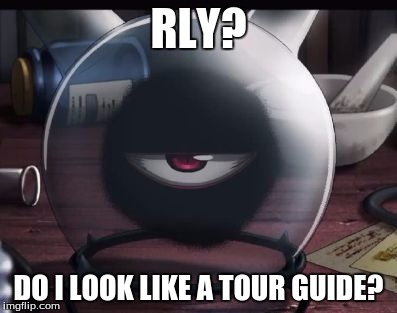 Rly? | RLY? DO I LOOK LIKE A TOUR GUIDE? | image tagged in rly | made w/ Imgflip meme maker