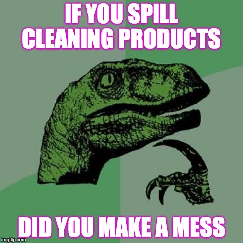 Philosoraptor | IF YOU SPILL CLEANING PRODUCTS; DID YOU MAKE A MESS | image tagged in memes,philosoraptor | made w/ Imgflip meme maker