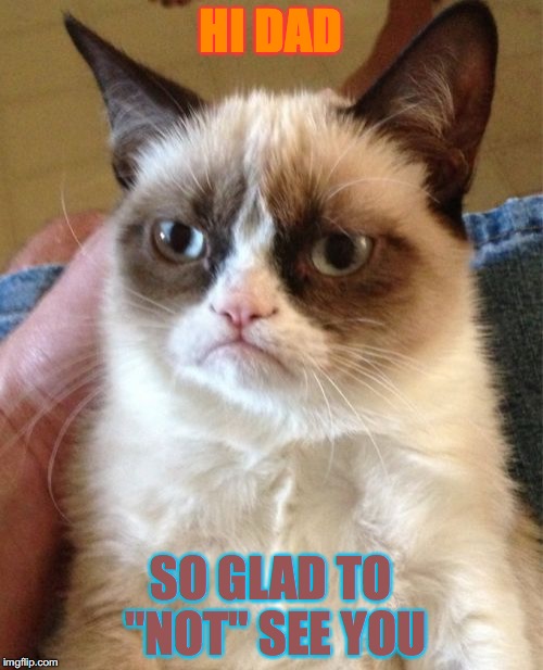 Grumpy Cat Meme | HI DAD SO GLAD TO "NOT" SEE YOU | image tagged in memes,grumpy cat | made w/ Imgflip meme maker