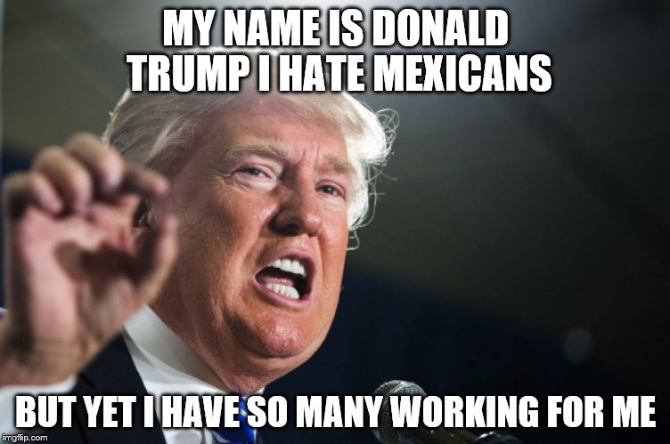 donald trump | MY NAME IS DONALD TRUMP I HATE MEXICANS; BUT YET I HAVE SO MANY WORKING FOR ME | image tagged in donald trump | made w/ Imgflip meme maker