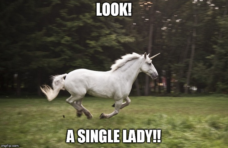 LOOK! A SINGLE LADY!! | image tagged in single ladies,unicorn,make believe | made w/ Imgflip meme maker