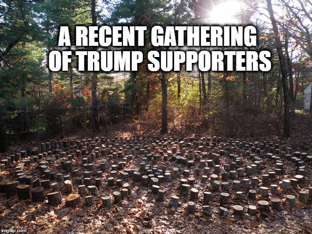 A RECENT GATHERING OF TRUMP SUPPORTERS | image tagged in trump supporters | made w/ Imgflip meme maker
