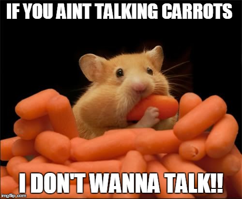Carrots | IF YOU AINT TALKING CARROTS; I DON'T WANNA TALK!! | image tagged in carrots | made w/ Imgflip meme maker