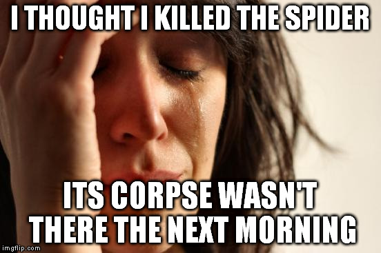 First World Problems Meme | I THOUGHT I KILLED THE SPIDER ITS CORPSE WASN'T THERE THE NEXT MORNING | image tagged in memes,first world problems | made w/ Imgflip meme maker