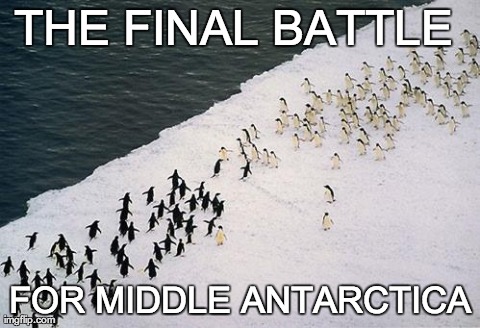 image tagged in funny,animals,penguins,funny | made w/ Imgflip meme maker