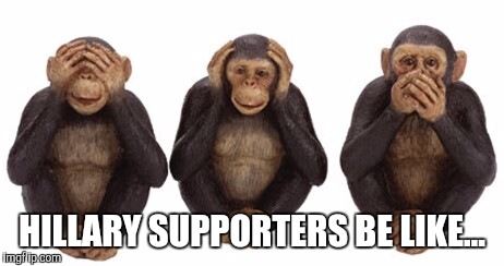 Hear no evil |  HILLARY SUPPORTERS BE LIKE... | image tagged in hear no evil | made w/ Imgflip meme maker