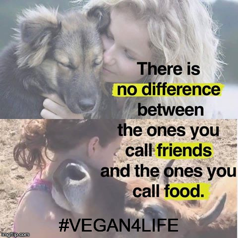 #VEGAN4LIFE | made w/ Imgflip meme maker