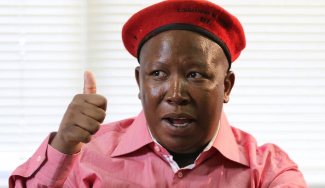 High Quality Julius_Malema Blank Meme Template