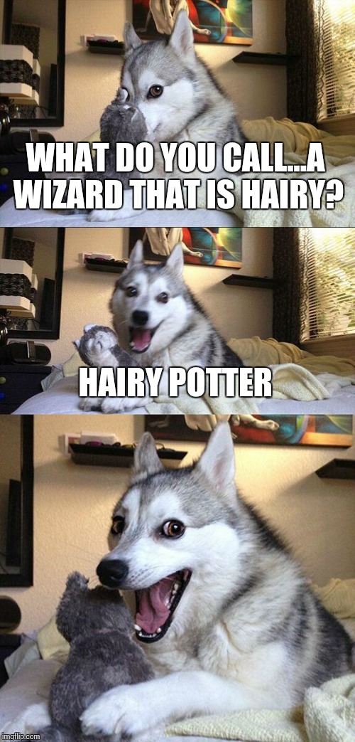 Bad Pun Dog Meme | WHAT DO YOU CALL...A WIZARD THAT IS HAIRY? HAIRY POTTER | image tagged in memes,bad pun dog | made w/ Imgflip meme maker