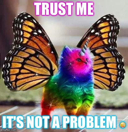 Rainbow unicorn butterfly kitten | TRUST ME; IT'S NOT A PROBLEM 😜 | image tagged in rainbow unicorn butterfly kitten | made w/ Imgflip meme maker