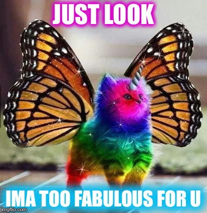 Rainbow unicorn butterfly kitten | JUST LOOK; IMA TOO FABULOUS FOR U | image tagged in rainbow unicorn butterfly kitten | made w/ Imgflip meme maker