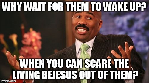 Steve Harvey Meme | WHY WAIT FOR THEM TO WAKE UP? WHEN YOU CAN SCARE THE LIVING BEJESUS OUT OF THEM? | image tagged in memes,steve harvey | made w/ Imgflip meme maker