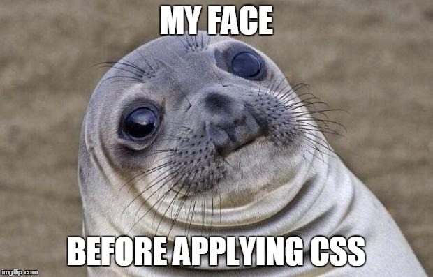 Awkward Moment Sealion | MY FACE; BEFORE APPLYING CSS | image tagged in memes,awkward moment sealion | made w/ Imgflip meme maker