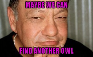 MAYBE WE CAN FIND ANOTHER OWL | made w/ Imgflip meme maker