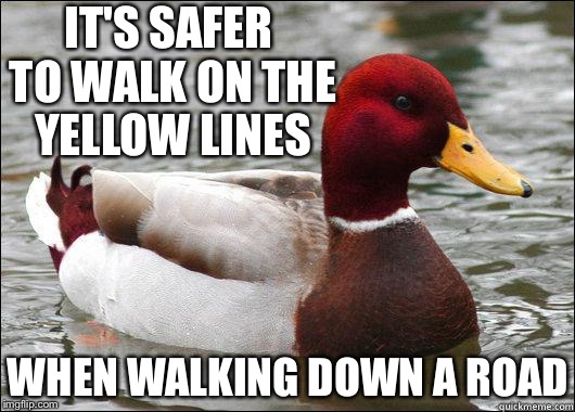 make actual bad advice mallard | IT'S SAFER TO WALK ON THE YELLOW LINES; WHEN WALKING DOWN A ROAD | image tagged in make actual bad advice mallard | made w/ Imgflip meme maker