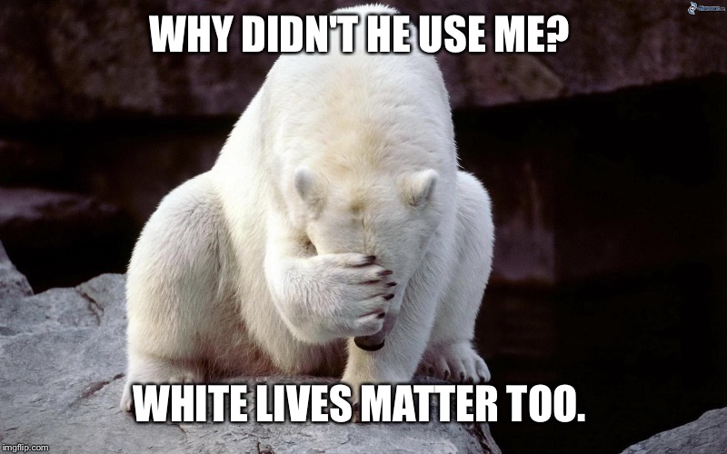 WHY DIDN'T HE USE ME? WHITE LIVES MATTER TOO. | made w/ Imgflip meme maker