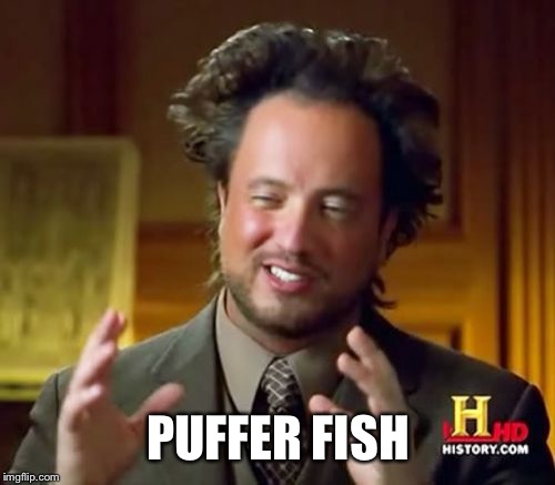 Ancient Aliens Meme | PUFFER FISH | image tagged in memes,ancient aliens | made w/ Imgflip meme maker