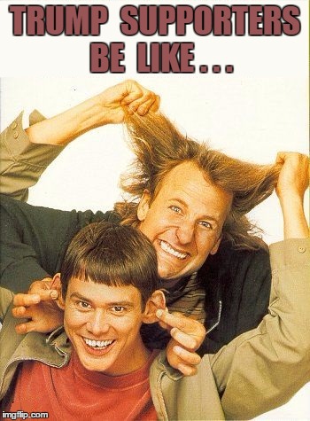 DUMB and dumber | TRUMP  SUPPORTERS  BE  LIKE . . . | image tagged in dumb and dumber | made w/ Imgflip meme maker