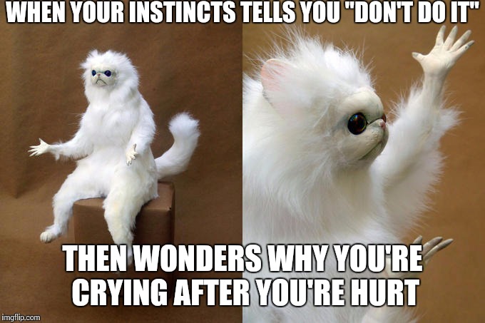 Persian Cat Room Guardian | WHEN YOUR INSTINCTS TELLS YOU "DON'T DO IT"; THEN WONDERS WHY YOU'RE CRYING AFTER YOU'RE HURT | image tagged in memes,persian cat room guardian | made w/ Imgflip meme maker