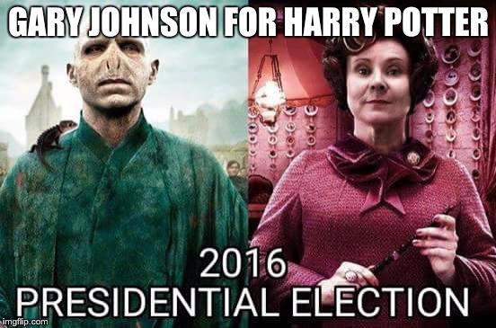 GARY JOHNSON FOR HARRY POTTER | image tagged in 2016 election,election 2016 | made w/ Imgflip meme maker