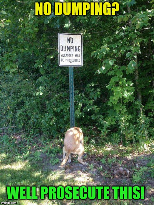Some rules are just poop | NO DUMPING? WELL PROSECUTE THIS! | image tagged in signs,dump,dog poop,dogs,funny meme,rebel | made w/ Imgflip meme maker