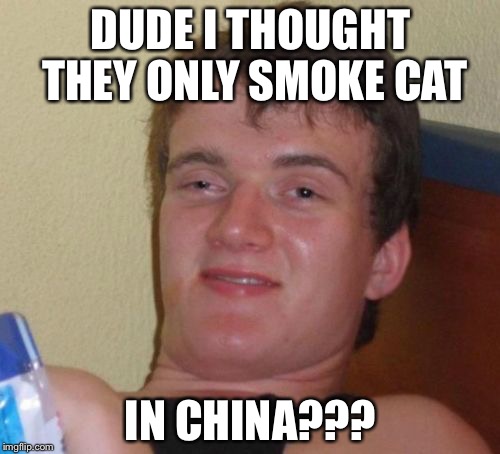 10 Guy | DUDE I THOUGHT THEY ONLY SMOKE CAT; IN CHINA??? | image tagged in memes,10 guy | made w/ Imgflip meme maker