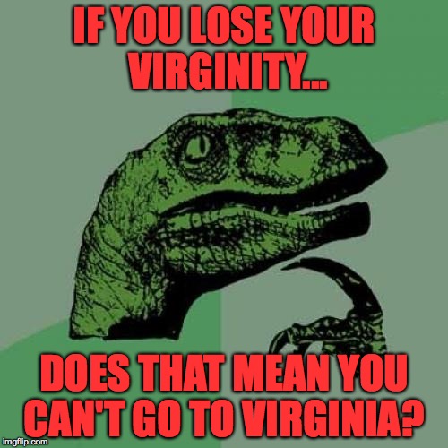 Philosoraptor Meme | IF YOU LOSE YOUR VIRGINITY... DOES THAT MEAN YOU CAN'T GO TO VIRGINIA? | image tagged in memes,philosoraptor | made w/ Imgflip meme maker
