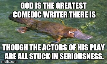 Platypus by Strongly Opinionated Platypus | GOD IS THE GREATEST COMEDIC WRITER THERE IS; THOUGH THE ACTORS OF HIS PLAY ARE ALL STUCK IN SERIOUSNESS. | image tagged in platypus by strongly opinionated platypus | made w/ Imgflip meme maker