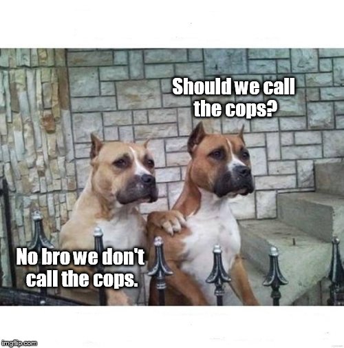 Trust between the police an local canine groups is now at an all time low  | Should we call the cops? No bro we don't call the cops. | image tagged in don't worry bro,psa,funny,memes,police | made w/ Imgflip meme maker
