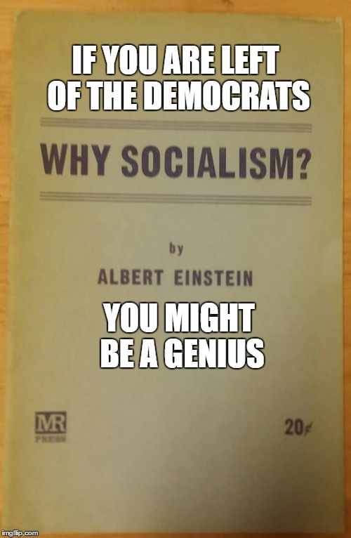 You Might Be a Genius | IF YOU ARE LEFT OF THE DEMOCRATS; YOU MIGHT BE A GENIUS | image tagged in socialism,green party,jill stein,jill2016 | made w/ Imgflip meme maker