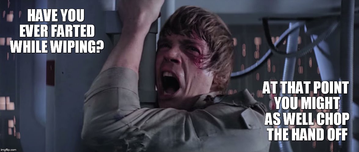 Farted while wiping | HAVE YOU EVER FARTED WHILE WIPING? AT THAT POINT YOU MIGHT AS WELL CHOP THE HAND OFF | image tagged in luke skywalker no hand,fart,wiping,poop,hygiene,sexy | made w/ Imgflip meme maker