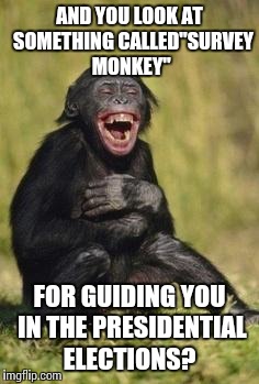 Laughing monkey | AND YOU LOOK AT  SOMETHING CALLED"SURVEY MONKEY"; FOR GUIDING YOU IN THE PRESIDENTIAL ELECTIONS? | image tagged in laughing monkey | made w/ Imgflip meme maker