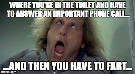 Scary Harry Meme | WHERE YOU'RE IN THE TOILET AND HAVE TO ANSWER AN IMPORTANT PHONE CALL... ...AND THEN YOU HAVE TO FART... | image tagged in memes,scary harry | made w/ Imgflip meme maker