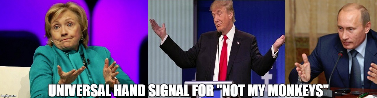 UNDERSTOOD | UNIVERSAL HAND SIGNAL FOR "NOT MY MONKEYS" | image tagged in hillary emails,hillary clinton,donald trump,vladimir putin | made w/ Imgflip meme maker