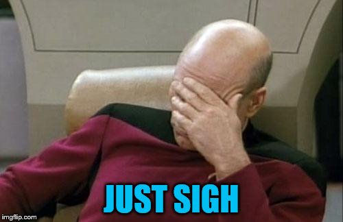 Captain Picard Facepalm Meme | JUST SIGH | image tagged in memes,captain picard facepalm | made w/ Imgflip meme maker