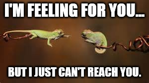 I'm feeling for you... But I just can't reach you. | I'M FEELING FOR YOU... BUT I JUST CAN'T REACH YOU. | image tagged in feeling for you,sarcasm,sympathy,empathy,sarcastic,whine | made w/ Imgflip meme maker