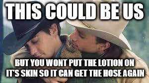 Brokeback Mountain | THIS COULD BE US; BUT YOU WONT PUT THE LOTION ON IT'S SKIN SO IT CAN GET THE HOSE AGAIN | image tagged in brokeback mountain | made w/ Imgflip meme maker