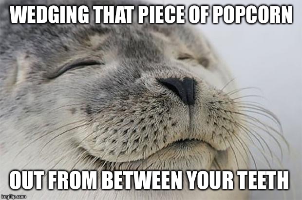 Satisfied Seal Meme | WEDGING THAT PIECE OF POPCORN; OUT FROM BETWEEN YOUR TEETH | image tagged in memes,satisfied seal,AdviceAnimals | made w/ Imgflip meme maker